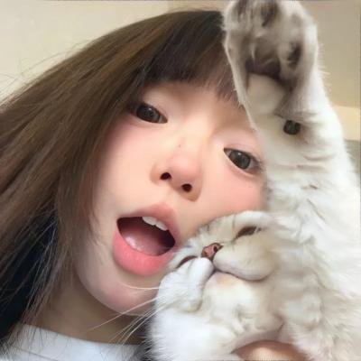 喷嚏熊猫