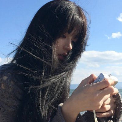 翼龙